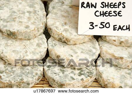 Stock Photo - Round sheep's cheeses. Fotosearch
