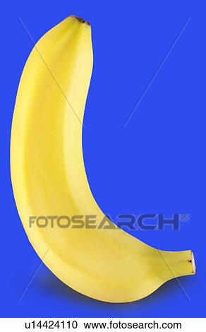 Single banana on blue View Large Photo Image Stock Image - Single banana on blue. Fotosearch