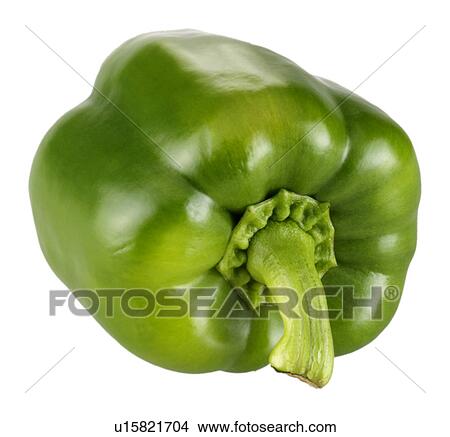 Single green pepper on white View Large Photo Image Picture - Single green pepper on white. Fotosearch