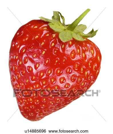 Stock Photograph - Single Strawberry on White - Non Exclusive. Fotosearch