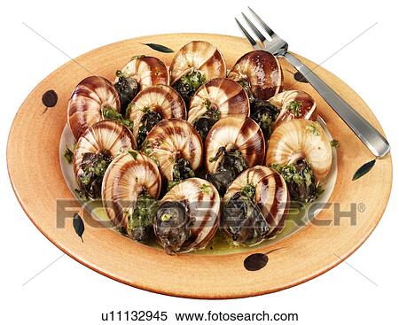 Snails Escargot - Non Exclusive View Large Photo Image Stock Photography - Snails Escargot - Non Exclusive. Fotosearch