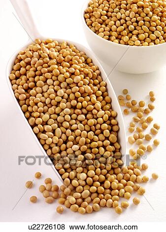 Stock Photo - Soya Beans in Scoop - Non Exclusive. Fotosearch