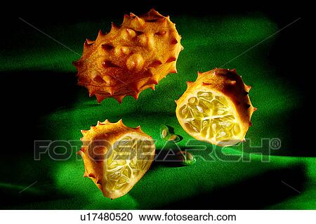 Spiky fruit View Large Photo Image Stock Image - Spiky fruit. Fotosearch
