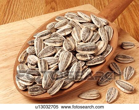 Sunflower Seeds View Large Photo Image Stock Photography - Sunflower Seeds. Fotosearch