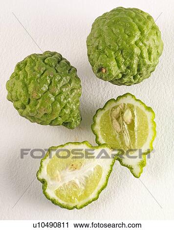 Thai Kaffir Limes View Large Photo Image Stock Image - Thai Kaffir Limes. Fotosearch