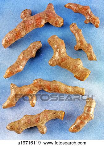 Stock Photo - Turmeric. Fotosearch