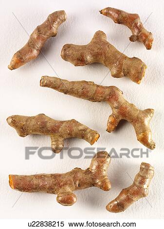 Turmeric View Large Photo Image Stock Photography - Turmeric. Fotosearch