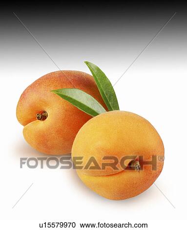 Stock Image - Two apricots on graduated. Fotosearch