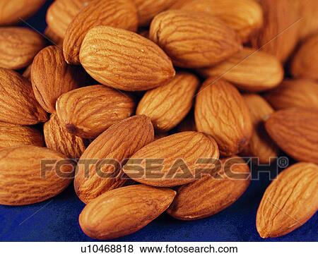 Stock Photo - Unblanched Almonds - Non Exclusive. Fotosearch