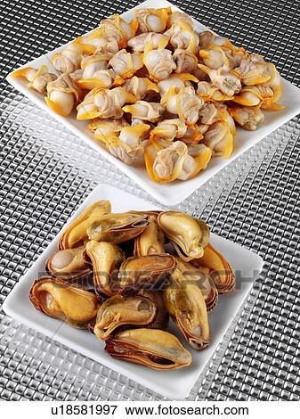 Stock Photo - Welsh Mussels And Cockles - Non Exclusive. Fotosearch