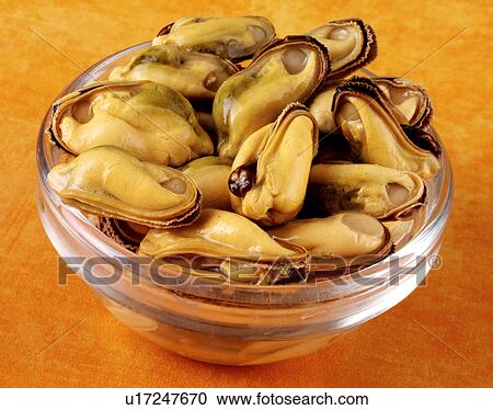 Stock Image - Welsh Mussels - Non Exclusive. Fotosearch