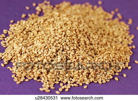 Stock Image - White Sesame Seeds - Non Exclusive. Fotosearch