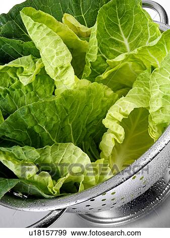 Winter Greens In Colander View Large Photo Image Stock Photo - Winter Greens In Colander. Fotosearch