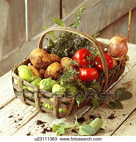 Stock Image - A trug of fresh vegetables. Fotosearch