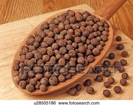 Stock Photograph - Allspice. Fotosearch