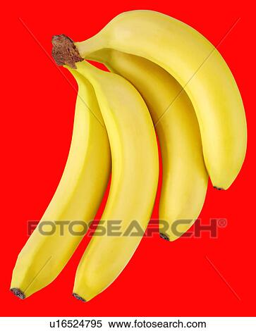 Bananas on Red - Non Exclusive View Large Photo Image Stock Photography - Bananas on Red - Non Exclusive. Fotosearch