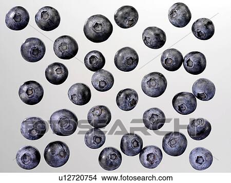 Picture - Blueberries - Non Exclusive. Fotosearch