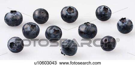 Blueberries - Non Exclusive View Large Photo Image Stock Image - Blueberries - Non Exclusive. Fotosearch