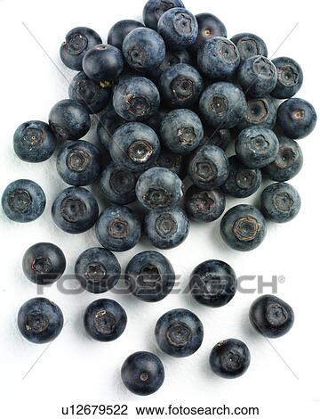 Blueberries View Large Photo Image Stock Image - Blueberries. Fotosearch