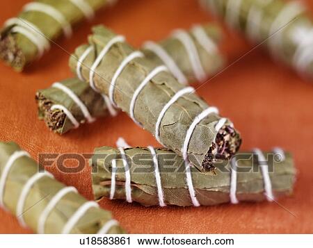 Stock Image - Bouquet Garni - Non Exclusive. Fotosearch