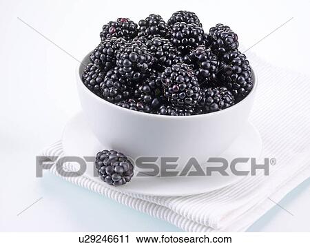 Stock Image - Bowl Of Blackberries. Fotosearch