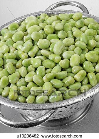 Stock Image - Broad Beans In Colander. Fotosearch
