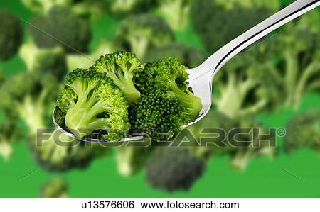Broccoli Florets On Spoon - Non Exclusive View Large Photo Image Stock Photograph - Broccoli Florets On Spoon - Non Exclusive. Fotosearch