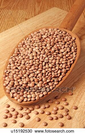 Brown Lentils View Large Photo Image Stock Image - Brown Lentils. Fotosearch