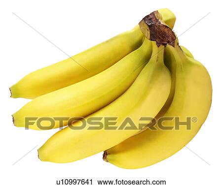 Bunch of bananas on white View Large Photo Image Stock Image - Bunch of bananas on white. Fotosearch