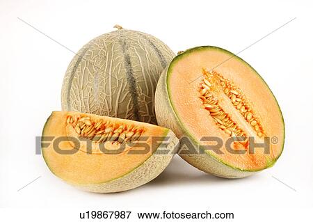 Stock Photo - Cantaloupe melons. Fotosearch