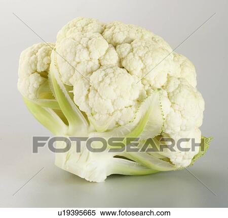 Cauliflower View Large Photo Image Stock Photography - Cauliflower. Fotosearch