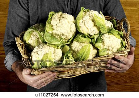 Cauliflower with farmer View Large Photo Image Picture - Cauliflower with farmer. Fotosearch