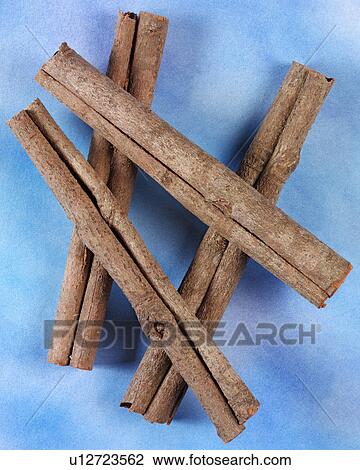 Stock Image - Chinese Cinnamon. Fotosearch