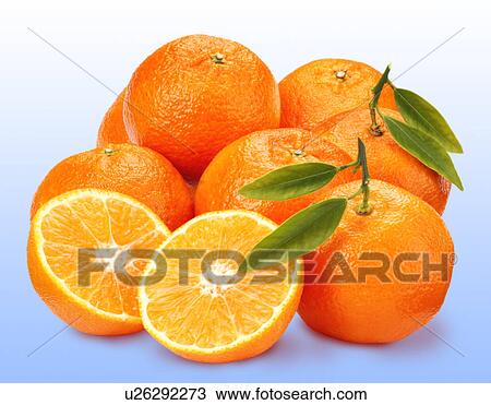 Clementines On Blue - Non Exclusive View Large Photo Image Stock Image - Clementines On Blue - Non Exclusive. Fotosearch