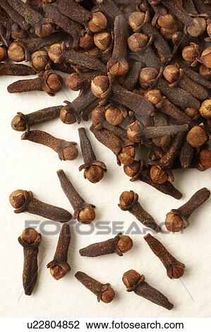 Stock Image - Cloves. Fotosearch