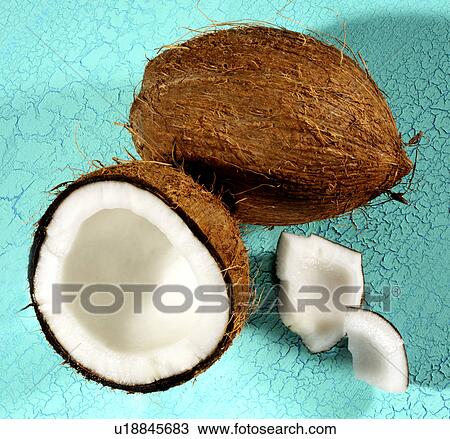 Coconuts on blue View Large Photo Image Stock Image - Coconuts on blue. Fotosearch
