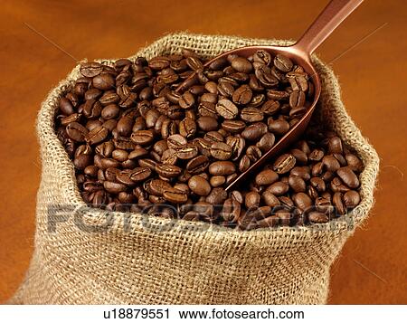 Coffee Beans in Bag - Non Exclusive View Large Photo Image Stock Image - Coffee Beans in Bag - Non Exclusive. Fotosearch