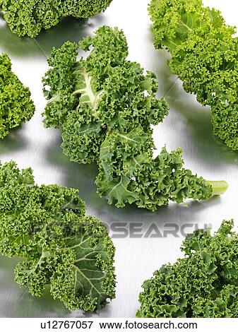 Stock Photo - Curly Kale Leaves. Fotosearch