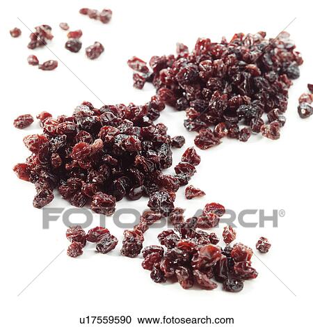 Stock Image - Currant. Fotosearch