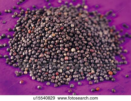Stock Photo - Dark Mustard Seeds - Non Exclusive. Fotosearch