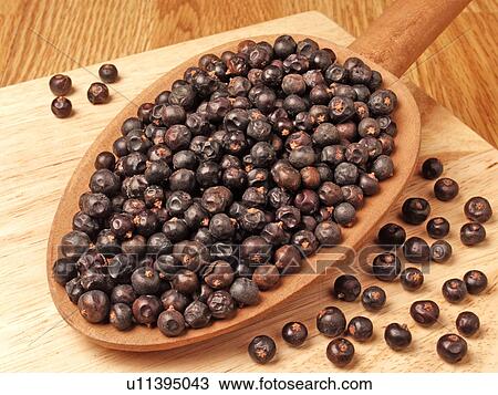 Dried Juniper Berries View Large Photo Image Stock Image - Dried Juniper Berries. Fotosearch