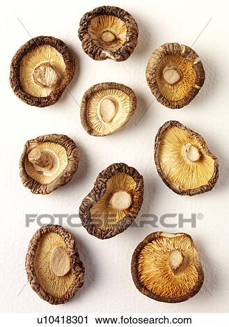 Stock Image - Dried Shitake Mushrooms - Non Exclusive. Fotosearch