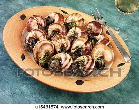 Escargot / Snails - Non Exclusive View Large Photo Image Picture - Escargot / Snails - Non Exclusive. Fotosearch