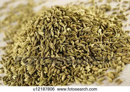 Stock Photograph - Fennel Seeds. Fotosearch