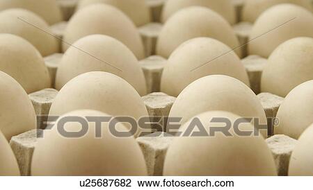 Free range duck eggs, tray View Large Photo Image Stock Image - Free range duck eggs, tray. Fotosearch