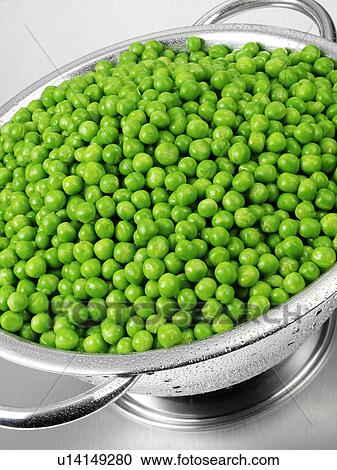 Stock Image - Fresh Garden Peas In Colander. Fotosearch