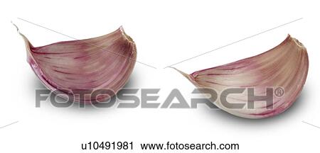 Garlic cloves View Large Photo Image Stock Image - Garlic cloves. Fotosearch