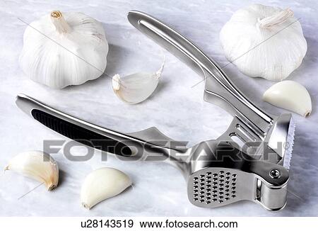 Stock Photo - Garlic Crusher - Non Exclusive. Fotosearch