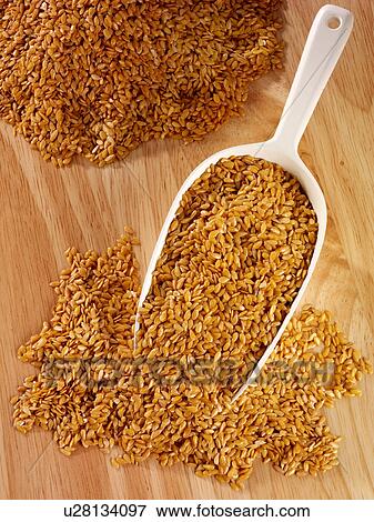 Golden Linseed in Scoop - Non Exclusive View Large Photo Image Stock Photo - Golden Linseed in Scoop - Non Exclusive. Fotosearch
