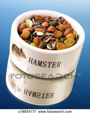 Stock Photo - Hamster Food - Non Exclusive. Fotosearch
